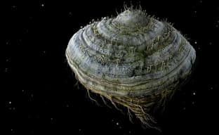 В мобильном EGS бесплатно раздают Samorost 2 и Road Redemption Mobile