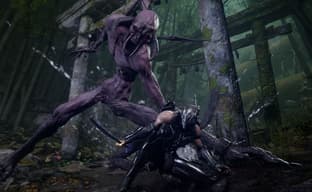 Ninja Gaiden 4 получит масштабное дополнение с новой историей и уникальным оружием