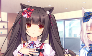 Japanese adult game store launches its own payment system in response to censorship from VISA and Mastercard