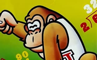 «Мы не могли раздать её даже бесплатно». Nintendo вспомнила о самой провальной игре на NES