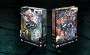 Настолки «Unmatched: The Witcher – Сталь и Cеребро» и «Гибель Королевств» задержались в гостях у таможни