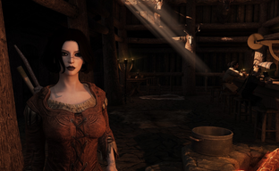 Анонсировали Skyrim Revoiced — моддер работает с актёрами озвучивания, чтобы дать игре новые голоса