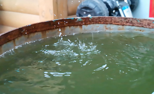 Slow-mo на Honor 20 Pro