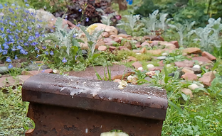 Slow-mo на Honor 20 Pro