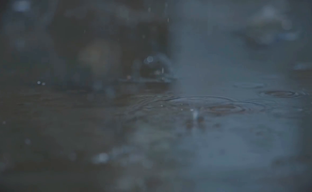 OPUS ONE SMART UMBRELLA JONAS With Bluetooth By The OPUS One Inc