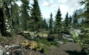 Skyrim Special Edition