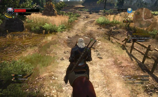 The Witcher 3: AMD A10-7860K, 1280x800, middle