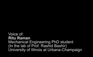 генетически модифицированные мышцы