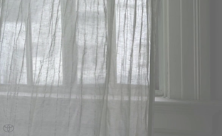 Toyota Project Blaid