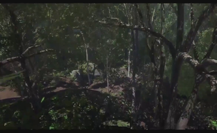 Rising Storm 2: Vietnam