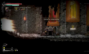 Salt and Sanctuary coop