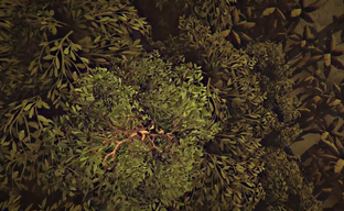 The Church in the Darkness