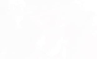 Dead or Alive Extreme 3