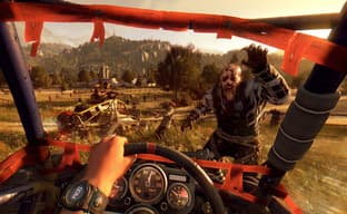 Dying Light: The Following