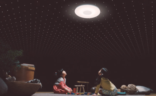 Sony Multifunctional Light