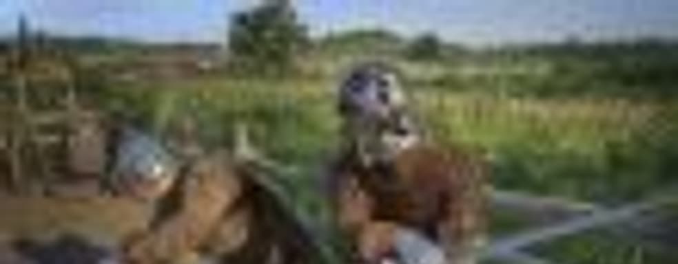 Kingdom Come: Deliverance без Denuvo и Season Pass, новая демонстрация игры