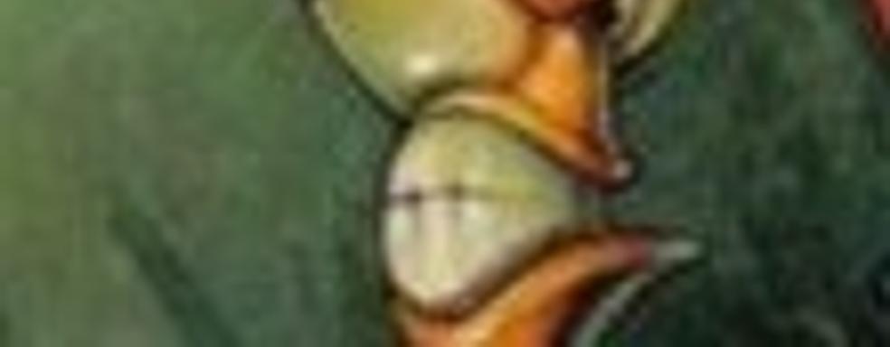 Новый старый Earthworm Jim