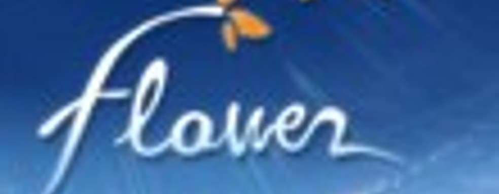 Новая игра от создателей Flower и flOw не раньше 2011 года