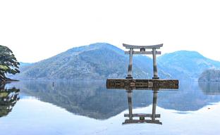 Ставший популярным из-за наигравшихся в Ghost of Tsushima туристов японский храм закрыли для посещения