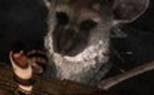 The Last Guardian: сравнение демо-версий с Е3 2015 и Е3 2016