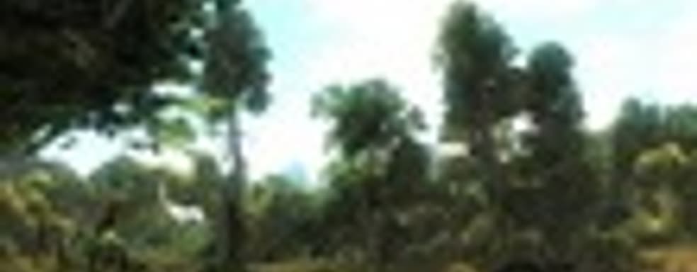 Risen в России до официального релиза