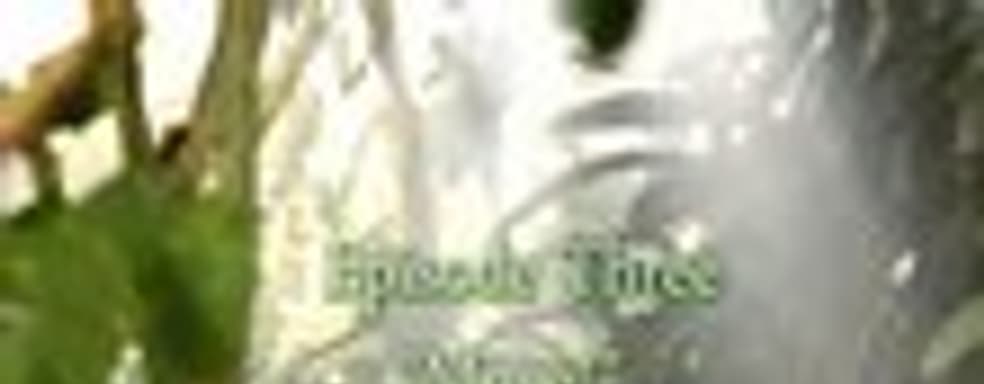 Анимация в Risen 2: Dark Waters 