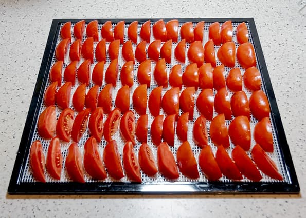 дегидратор Excalibur 4948CDBF