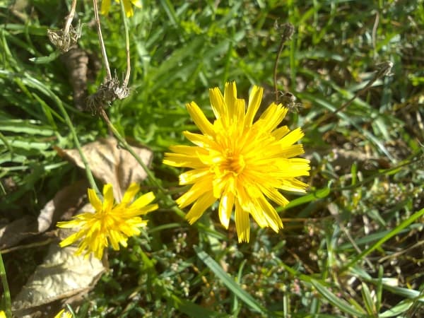 Обзор коммуникатора Sony Xperia sola