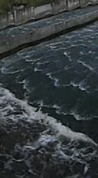 Панорамная камера Samsung Gear 360