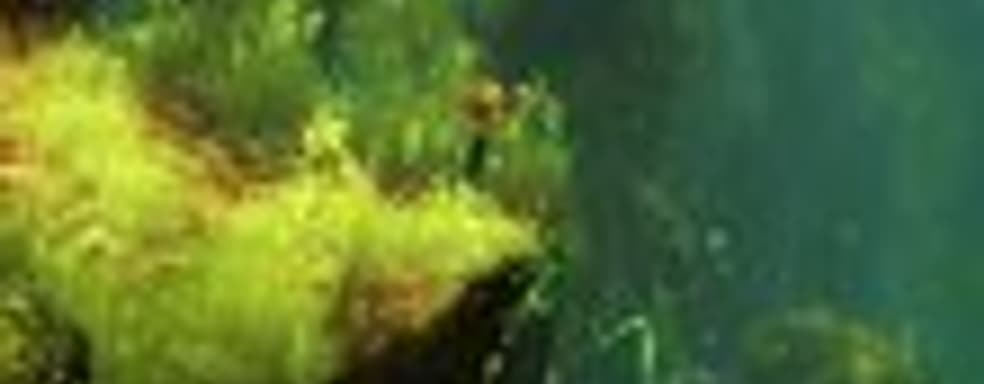 Max: The Curse of Brotherhood задержится до 2014 года из-за версии для Xbox One