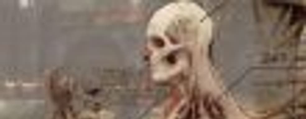 Авторы The Witcher 3 хотели добавить в игру аналог системы VATS из Fallout