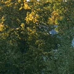 Видеосъемка фотоаппаратом Panasonic DMC-G7