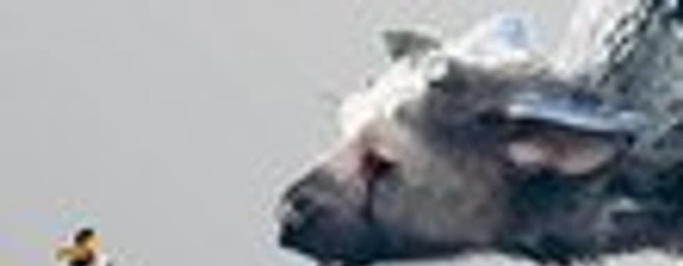 The Last Guardian — 10 лет в разработке