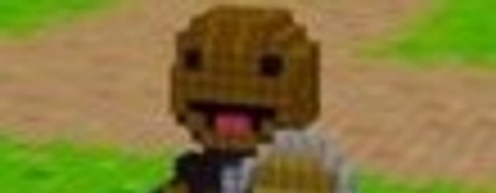 Сэкбой в 3D Dot Game Heroes