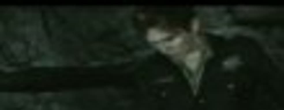 Новый Silent Hill для PS3 и Xbox 360