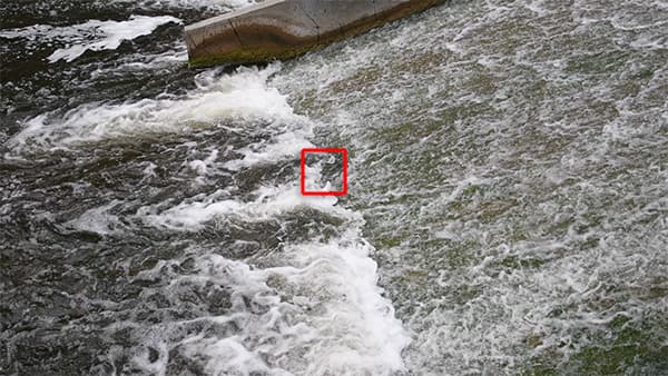 Видеосъемка фотоаппаратом Nikon D500