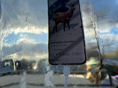 В «М.Видео» проверили: Honor Magic6 Pro прошёл испытания льдом и ударами в России