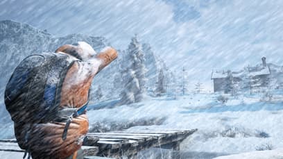 Winter Survival Simulator