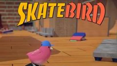 SkateBIRD