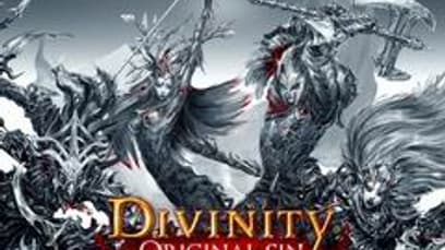 Divinity: Original Sin II