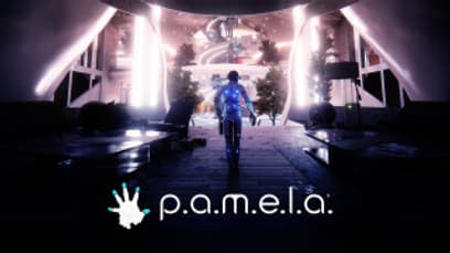 P.A.M.E.L.A.
