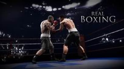 Real Boxing