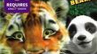 Kinectimals: Now With Bears