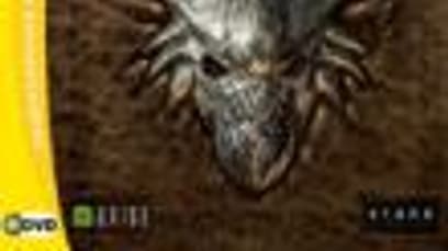 Не время для драконов