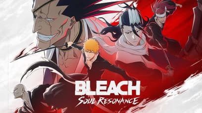 BLEACH: Soul Resonance