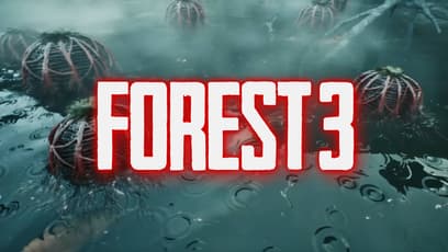 Forest 3