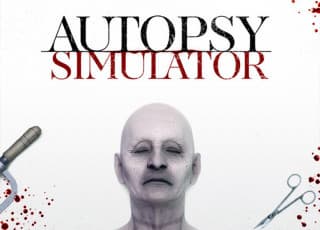 Autopsy Simulator