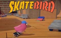 SkateBIRD