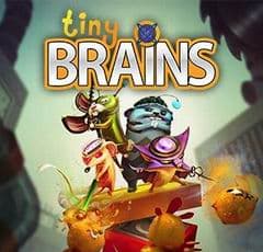 Tiny Brains