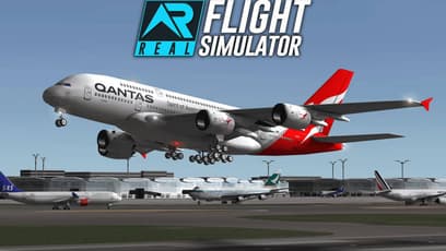 Real Flight Simulator